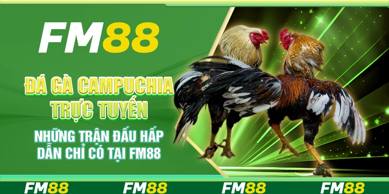 Đá Gà Campuchia Trực Tuyến Những Trận Đấu Hấp Dẫn Chỉ Có Tại FM88