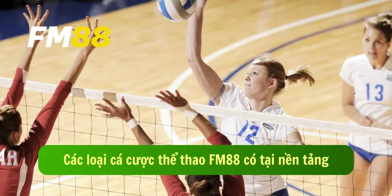 Các loại cá cược thể thao FM88 có tại nền tảng