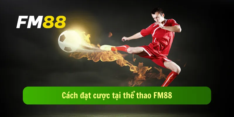 Cách đặt cược tại thể thao FM88