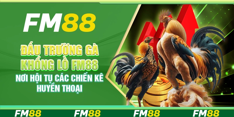 Đấu Trường Gà Khổng Lồ FM88 Nơi Hội Tụ Các Chiến Kê Huyền Thoại