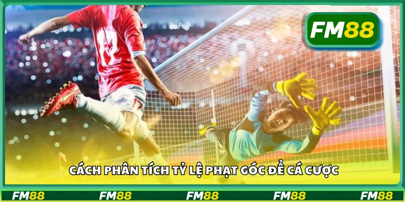 Cách phân tích tỷ lệ phạt góc để cá cược