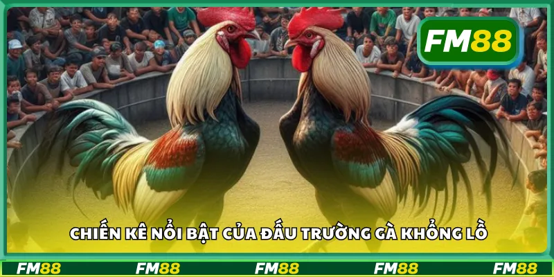 Chiến kê nổi bật của đấu trường gà khổng lồ