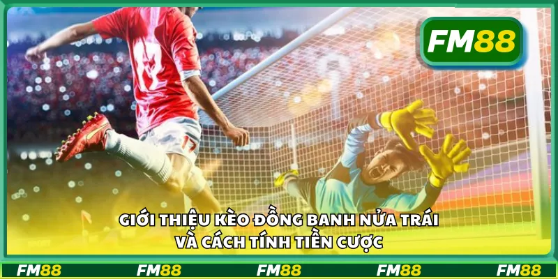 Giới thiệu kèo đồng banh nửa trái và cách tính tiền cược