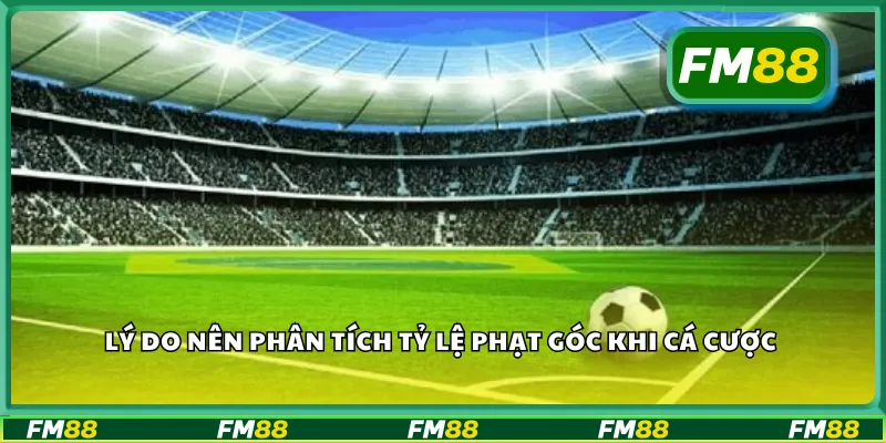 Lý do nên phân tích tỷ lệ phạt góc khi cá cược