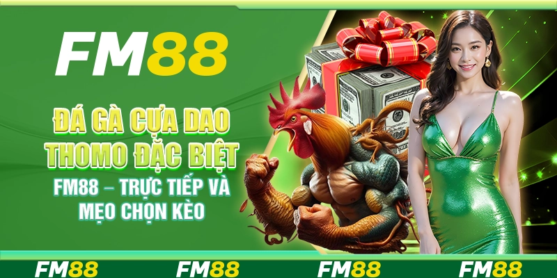 Đá Gà Cựa Dao Thomo Đặc Biệt FM88 – Trực Tiếp Và Mẹo Chọn Kèo