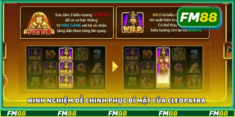 Kinh nghiệm để chinh phục bí mật của Cleopatra