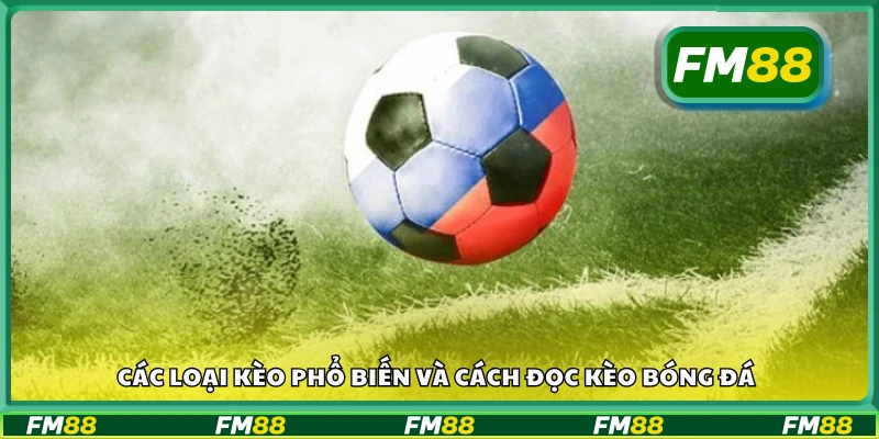 Tìm hiểu các loại kèo và cách đọc kèo bóng đá