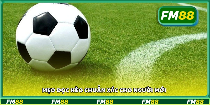 Bật mí mẹo đọc kèo chuẩn xác cho người mới