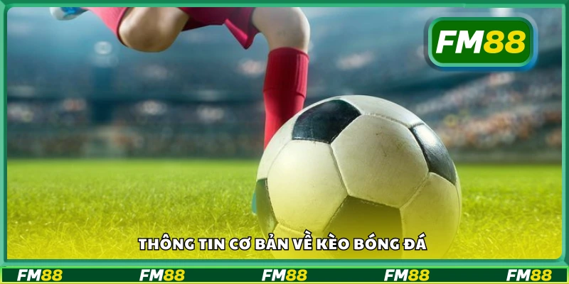 Thông tin cơ bản về kèo bóng đá