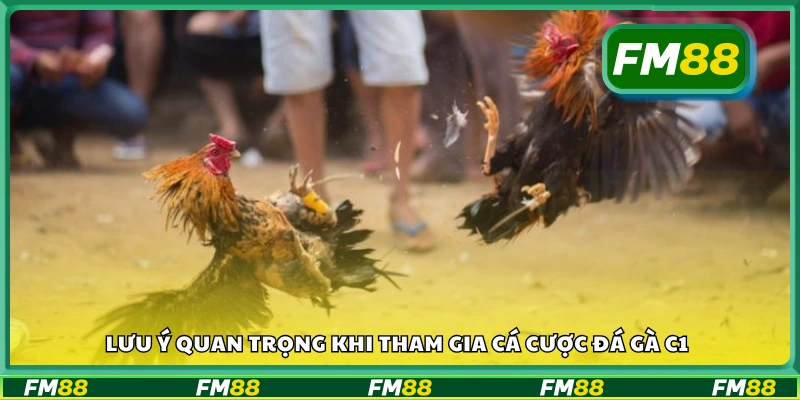 Các lưu ý quan trọng khi tham gia cá cược đá gà C1