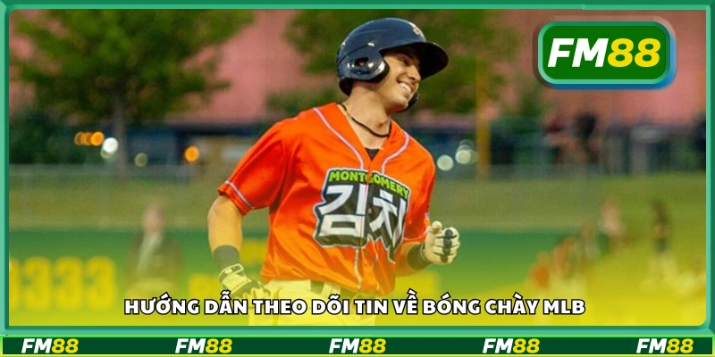 Cách theo dõi tin về bóng chày MLB