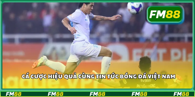 Cá cược hiệu quả cùng tin tức bóng đá Việt Nam