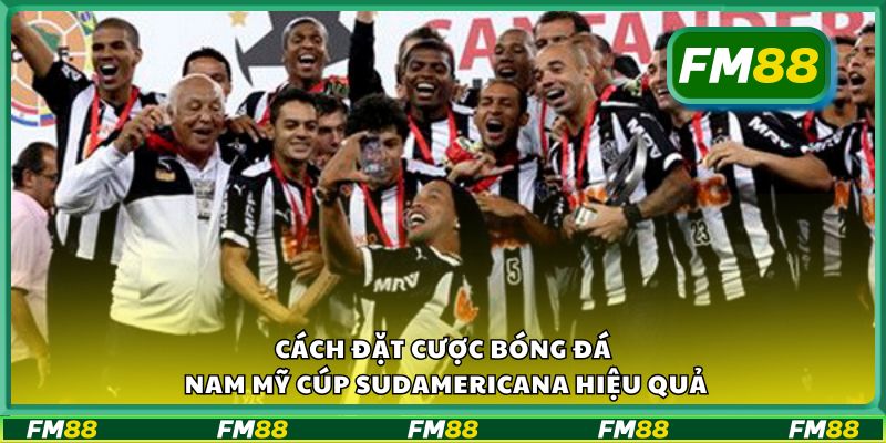Cách đặt cược bóng đá Nam Mỹ Cúp Sudamericana hiệu quả
