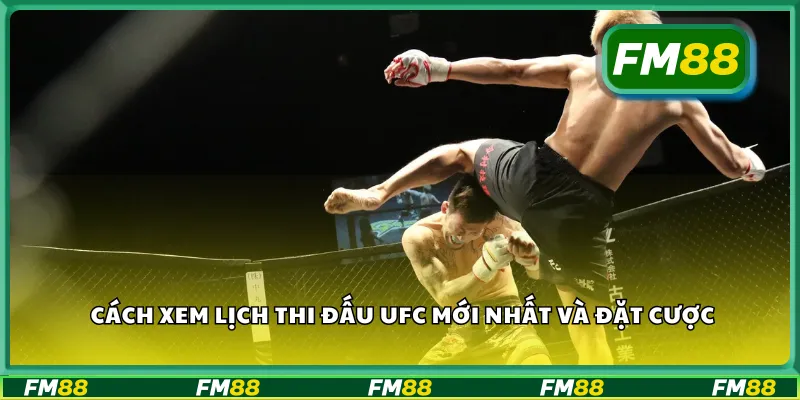 Cách xem lịch thi đấu UFC mới nhất và đặt cược