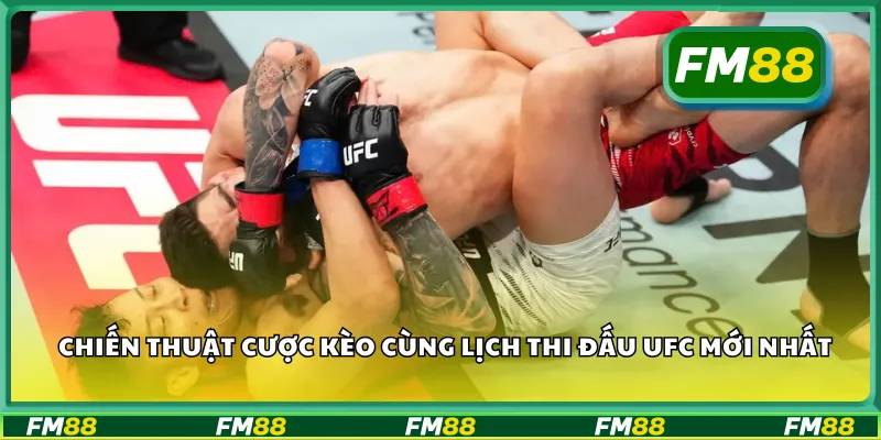 Chiến thuật cược kèo cùng lịch thi đấu UFC mới nhất