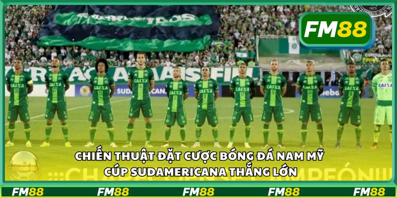 Chiến thuật đặt cược bóng đá Nam Mỹ Cúp Sudamericana thắng lớn