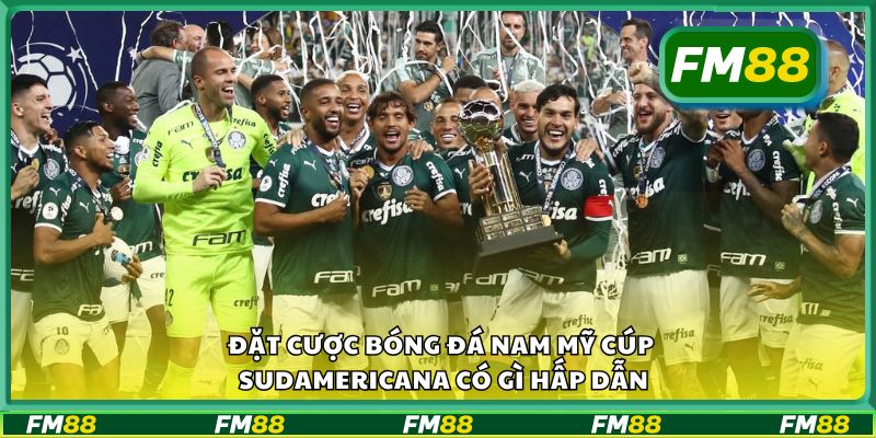 Đặt cược bóng đá Nam Mỹ Cúp Sudamericana có gì hấp dẫn
