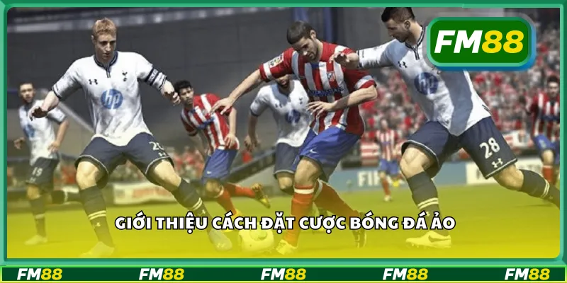 Giới thiệu cách đặt cược bóng đá ảo
