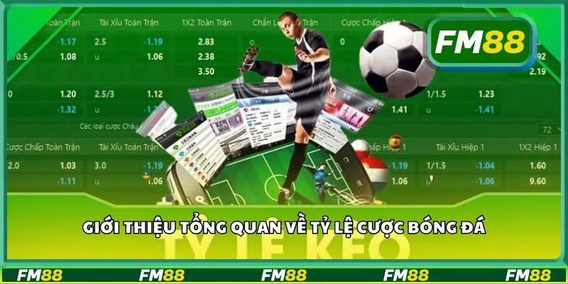 Giới thiệu tổng quan về tỷ lệ cược bóng đá
