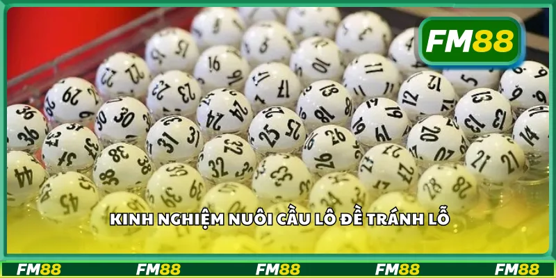 Kinh nghiệm nuôi cầu lô đề tránh lỗ