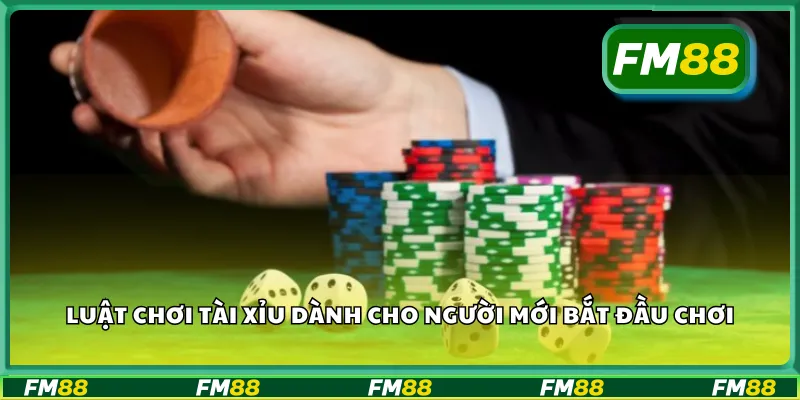 Luật chơi tài xỉu dành cho người mới bắt đầu chơi