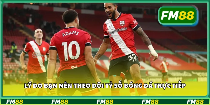 Lý do bạn nên theo dõi tỷ số bóng đá trực tiếp