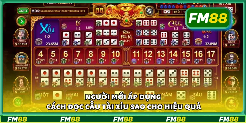 Người mới áp dụng cách đọc cầu tài xỉu sao cho hiệu quả