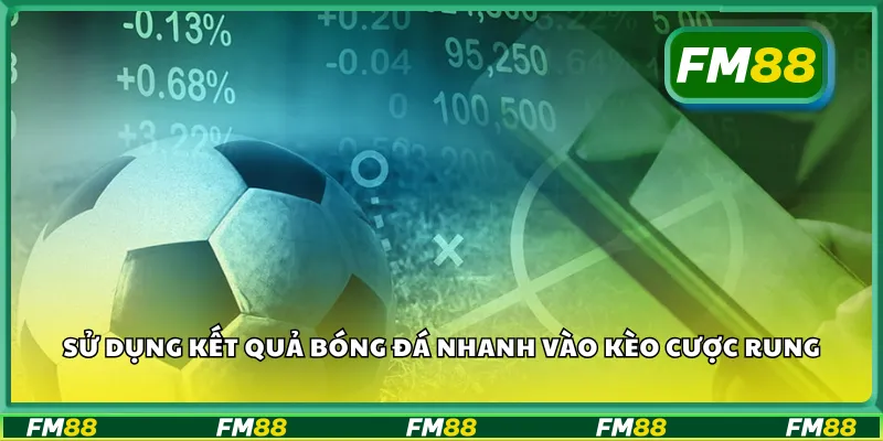 Sử dụng kết quả bóng đá nhanh vào kèo cược rung