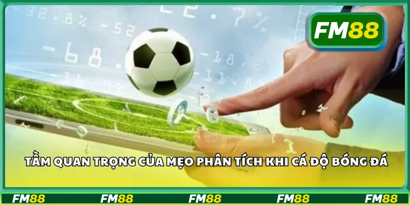 Tầm quan trọng của mẹo phân tích khi cá độ bóng đá