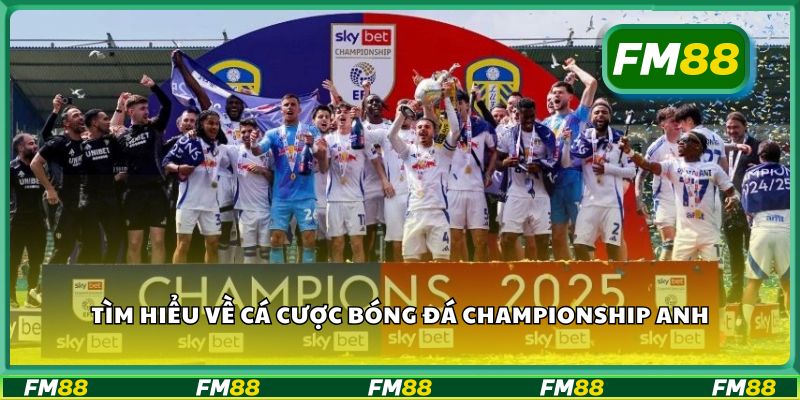 Tìm hiểu về cá cược bóng đá Championship Anh