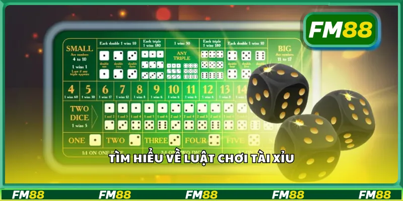 Tìm hiểu về luật chơi tài xỉu