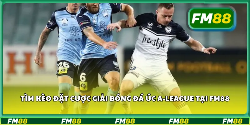 Tìm kèo đặt cược giải bóng đá Úc A-League tại FM88