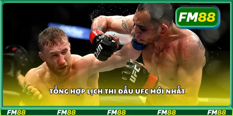 Tổng hợp lịch thi đấu UFC mới nhất