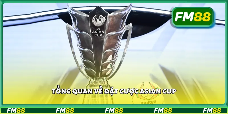 Tổng quan về đặt cược Asian cup