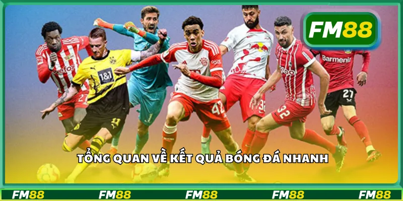 Tổng quan về kết quả bóng đá nhanh