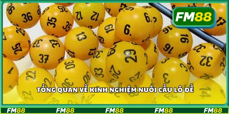 Tổng quan về kinh nghiệm nuôi cầu lô đề