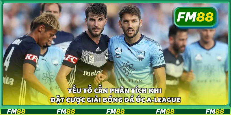 Yếu tố cần phân tích khi đặt cược giải bóng đá Úc A-League
