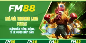Đá gà Thomo Live FM88 – Trận đấu sống động, tỉ lệ cược hấp dẫn