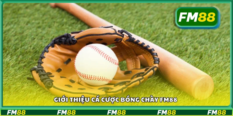 Tổng quan về cá cược bóng chày tại FM88