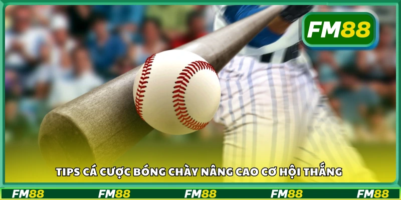 Mẹo cược bóng chày giúp tăng tỷ lệ trúng