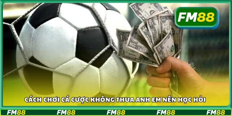 Hướng dẫn cách chơi cá cược không thua